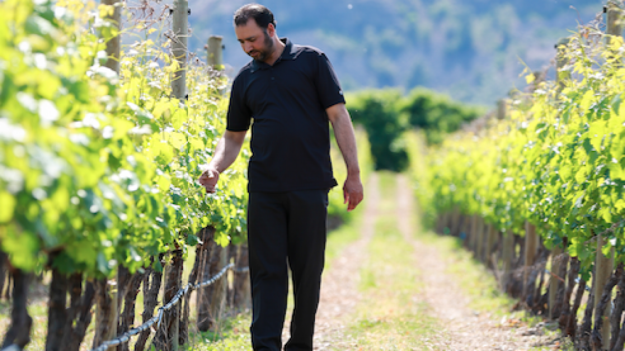Bordertown Vineyard Tour