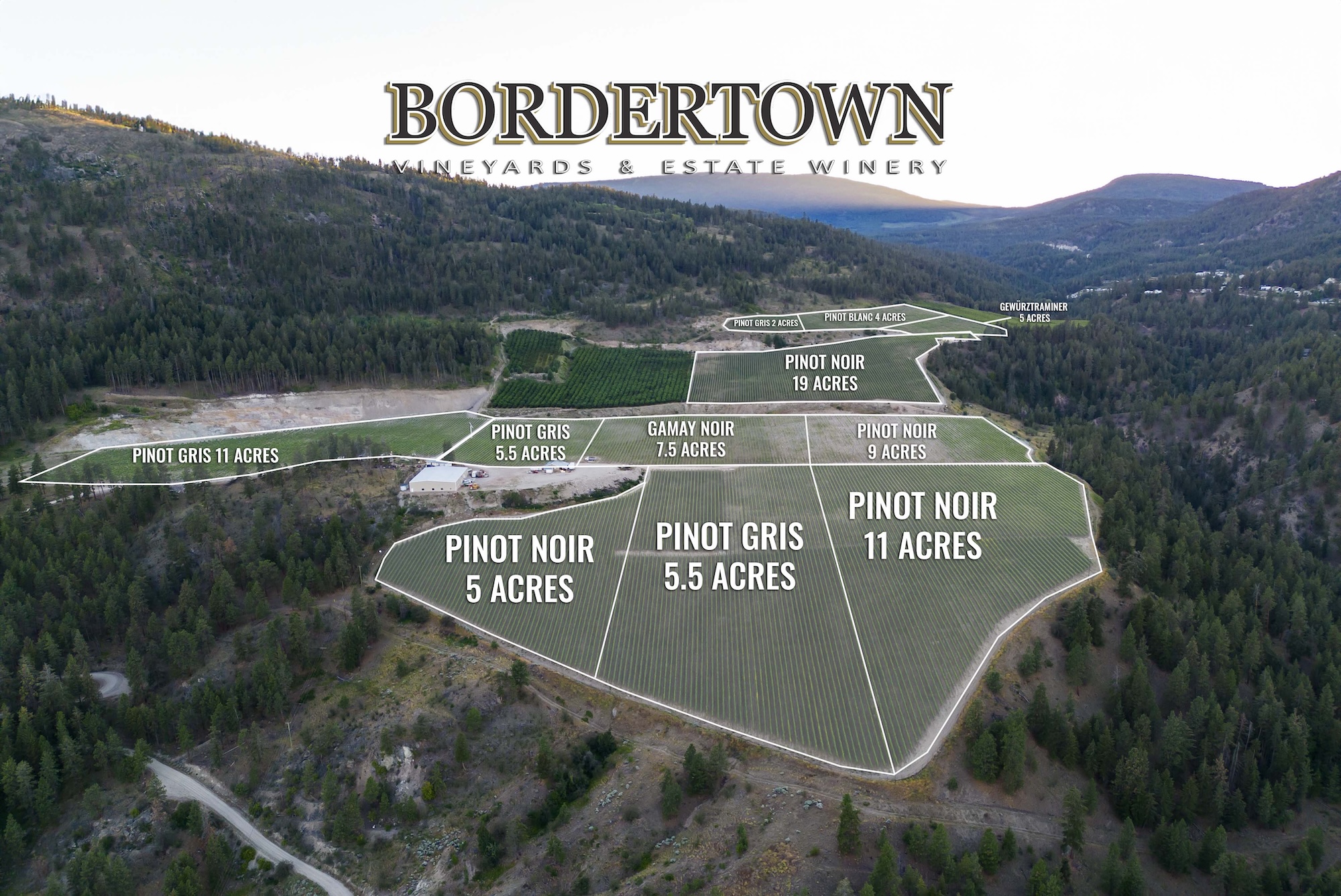 PEACHLAND-VINYARDS BT copy
